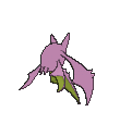 叉字蝠