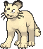 高竇貓