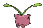 毽子草